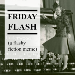 Friday flash meme 2